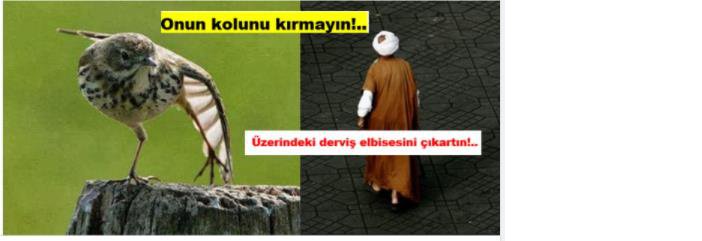 dervis.jpg