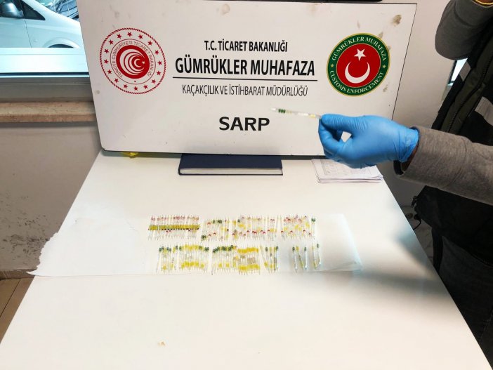 sap-kapi-zehir-12.jpg