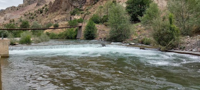 artvin-kano-1.jpg