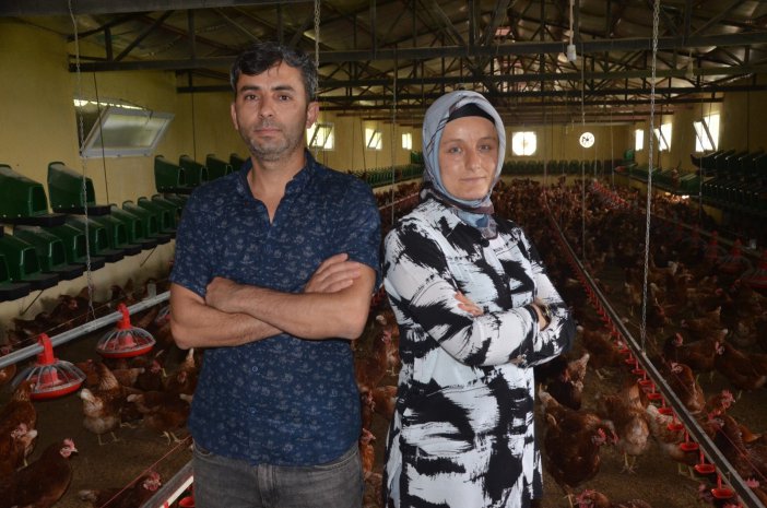 Organik Yumurta Üretimi Yapan Karı-koca, İhracata Başladı