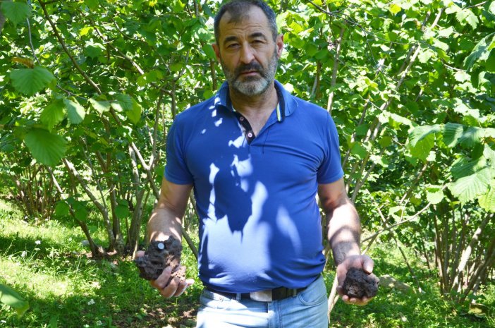 Bahçesinde Meteor Buldu