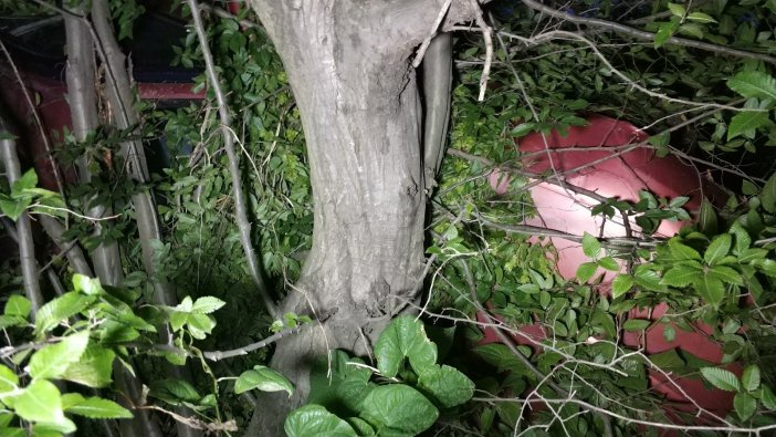 Şarampole Uçan 2 Araçtaki Sürücülerin Hayatlarını Uçuruma 2 Metre Kala Ağaç Kurtardı