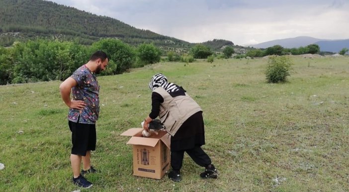 Tedavisi Tamamlanan Yaralı Leylek Doğaya Bırakıldı