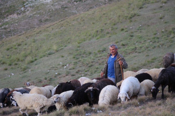 Çoban Üretim İçin Yol İstedi