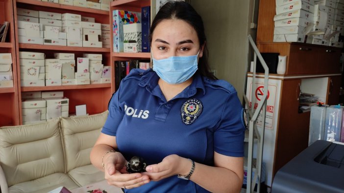 Yuvasından Düşen Ebabil Kuşu’na Polisler Sahip Çıktı