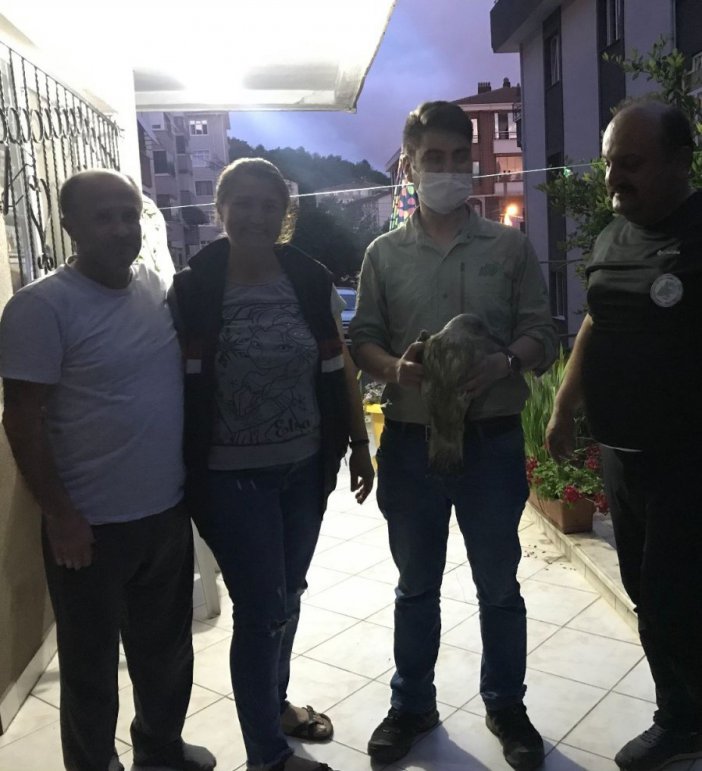 Yaralı Martı Tedavi Altına Alındı