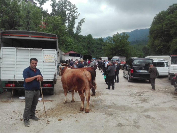 Kumru’da Kurbanlıklar Pazara İndi