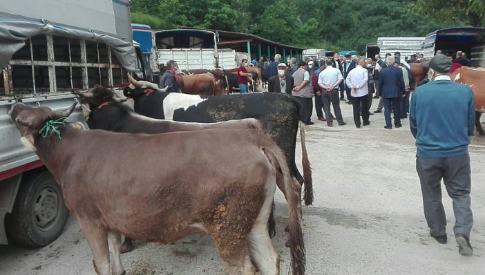 Kumru’da Kurbanlıklar Pazara İndi