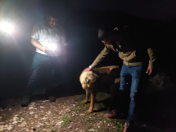 Definecilerin Kazdığı Çukura Düşen Köpek Kurtarıldı