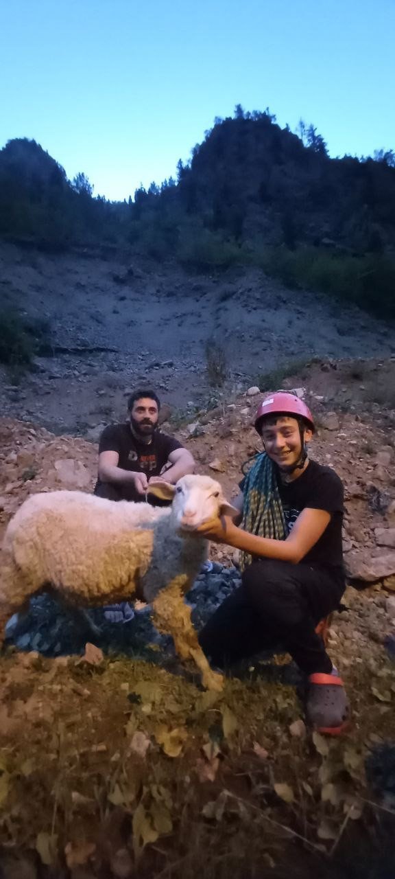Dedesinin Kayalıklarda Mahsur Kalan Koyununu Dağcı Torunu Kurtardı