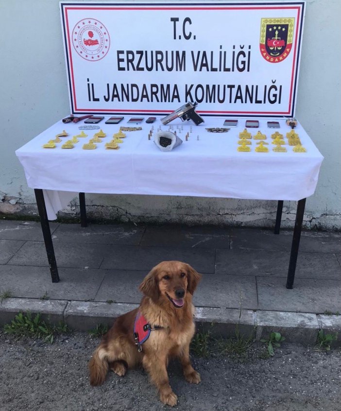 Erzurum’da Hayvan Hırsızlığı Ve Uyuşturucu Operasyonu: 6 Tutuklu