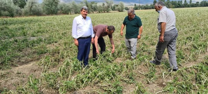 Çorum’da Tarım Alanlarını Dolu Vurdu