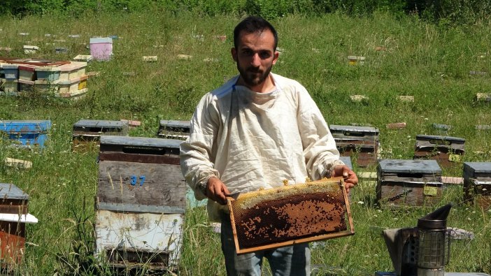 Gezici Arıcılarda Yüzde 50 Rekolte Kaybı