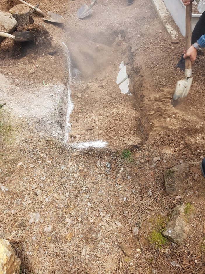 Kenenin Isırdığı Şahıs Kurtarılamadı