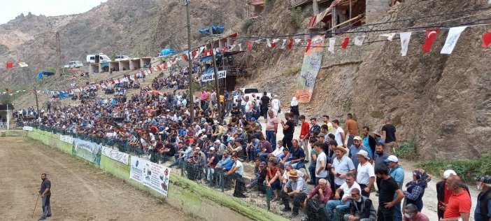 Sular Altında Kalacak Olan İlçede Son Boğa Güreşleri Yapıldı