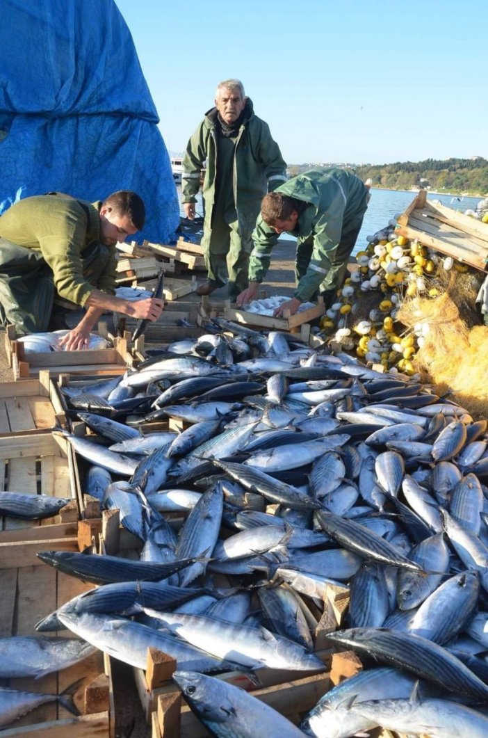 Yasakların Bitmesine 45 Gün Kala Balıkçıların Gözü Palamutta