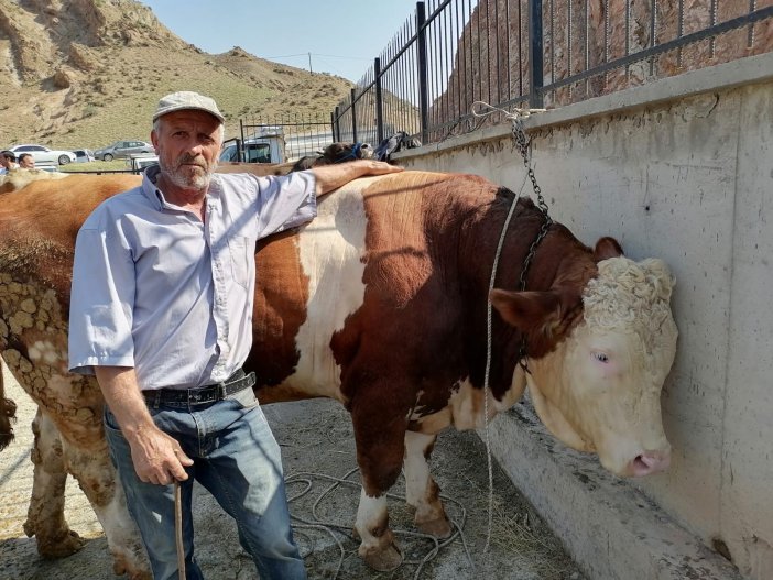 Kurban Satışları Hayvan Üreticilerinin Yüzünü Güldürüyor