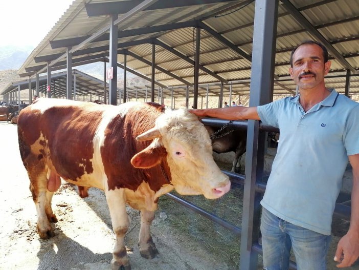 Kurban Satışları Hayvan Üreticilerinin Yüzünü Güldürüyor