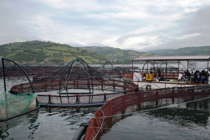 Samsun’da En Çok Hayvansal Ürün İhracatı Balık Yağı İle Gerçekleşti