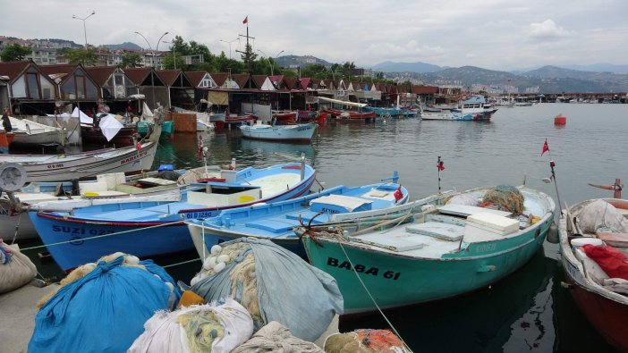 Mezgit, Tarihinin En Yüksek Fiyatını Gördü