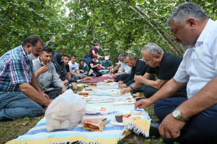 Fındık Hasadı Başladı, Vali Ve Başkan Bahçeye Girdi