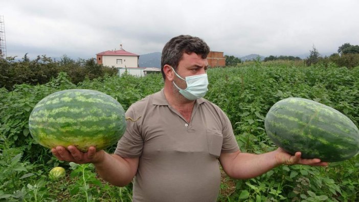 trabzon-karpuz-12.jpg