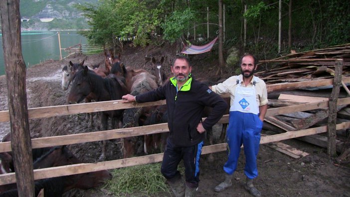 artvin-atlar-12.jpg