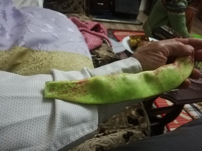 29-cm-fasulye-14.jpg