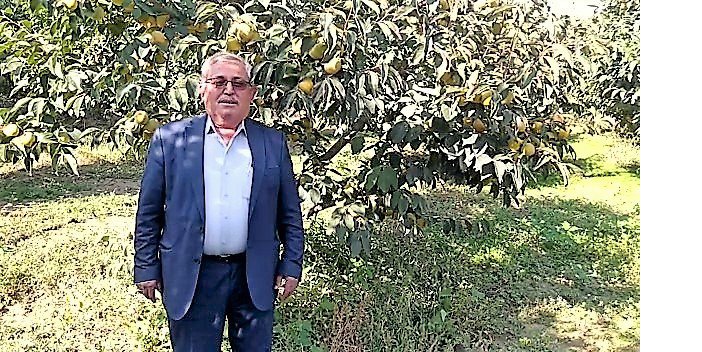 rize-hurmasi-14.jpg