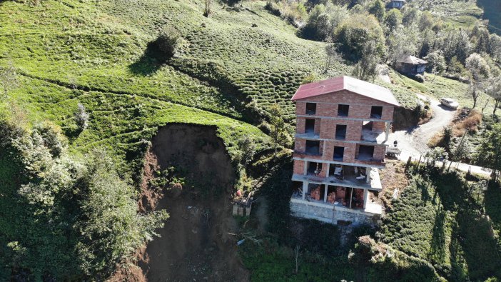 sel-rize-13.jpg