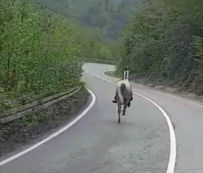 rize-at-12.jpg