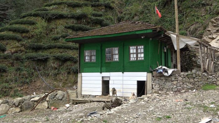 rize-kopru-14.jpg