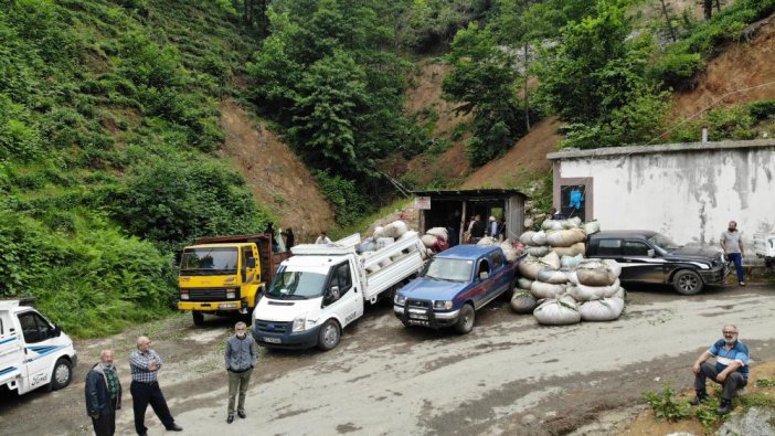 rize-alimyeri-14.jpg