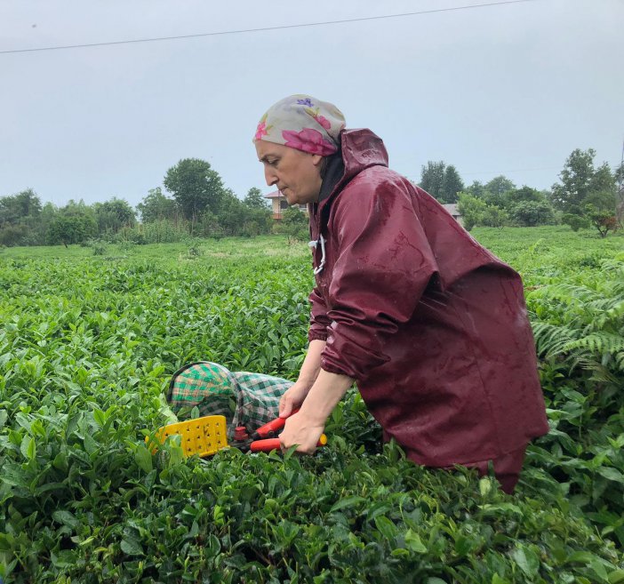 rize-cay-uretici-13.jpg