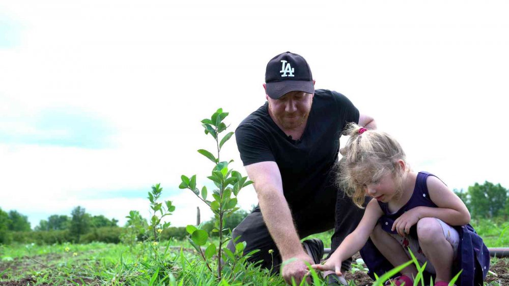 Karadenizde Herşey Yetişiyor , Geleceğin Meyvesi ‘aronya’ Samsun’da Üretiliyor