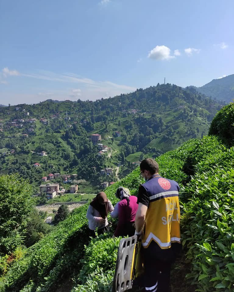 Rize'de Yamaçtaki Çay Bahçesinden Yuvarlandı, Sedye İle 400 Metre Taşınarak Hastaneye Kaldırıldı
