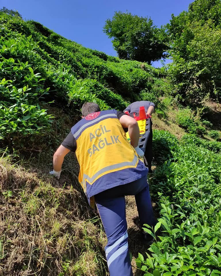 Rize'de Yamaçtaki Çay Bahçesinden Yuvarlandı, Sedye İle 400 Metre Taşınarak Hastaneye Kaldırıldı