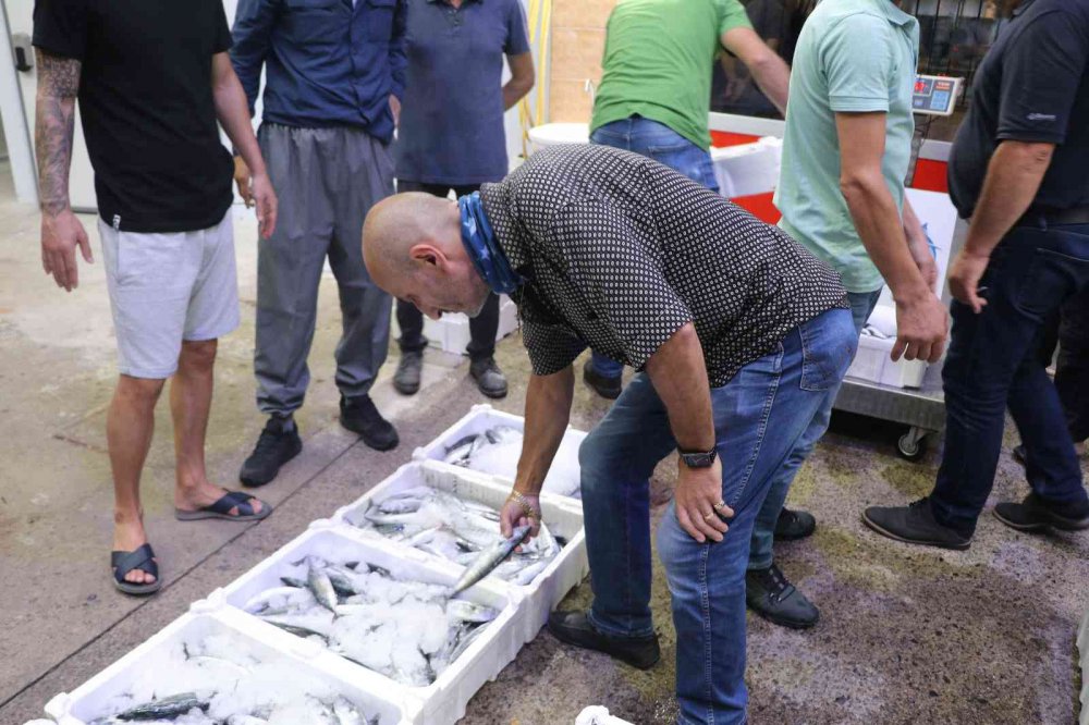 Rize’de Balık Sezonu Bereketli Başladı