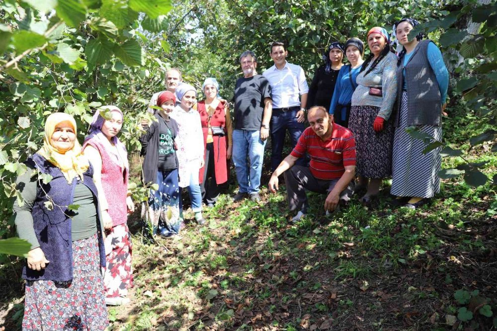 Fındıkta Yerli İşçi Sıkıntısına ‘hilmi Güler Modeli’