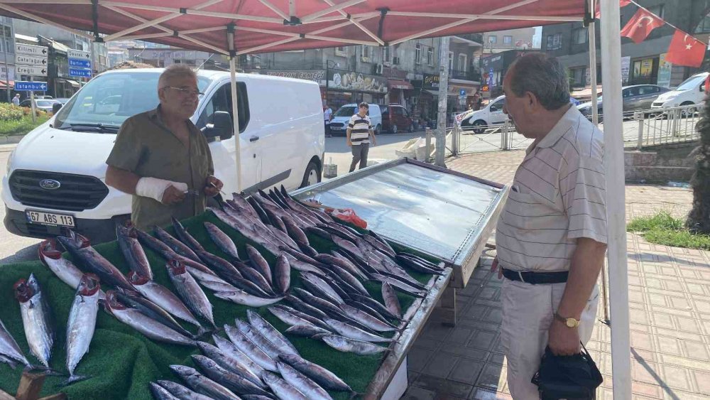 Tezgahlar Palamutla Doldu Taştı, Sezon Bereketli Başladı