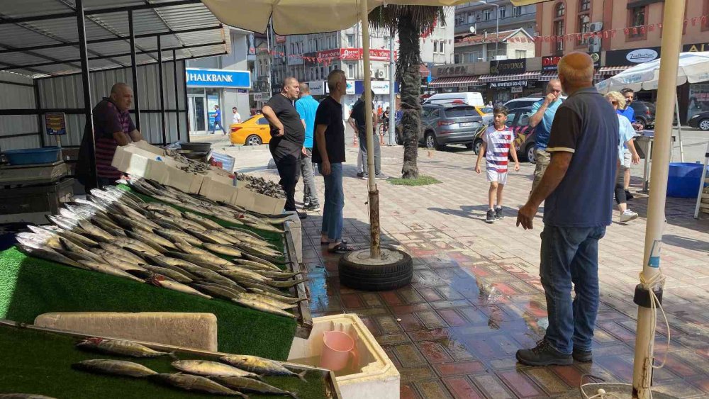 Tezgahlar Palamutla Doldu Taştı, Sezon Bereketli Başladı