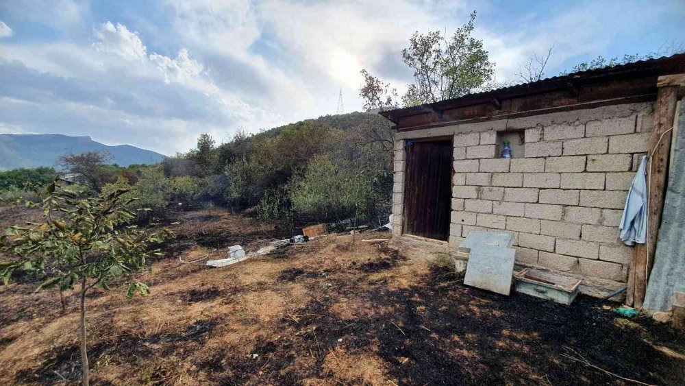 GÜMÜŞHANE'DE ELEKTRİK TELİNİ KOPARAN AĞAÇ YANGIN ÇIKARTTI