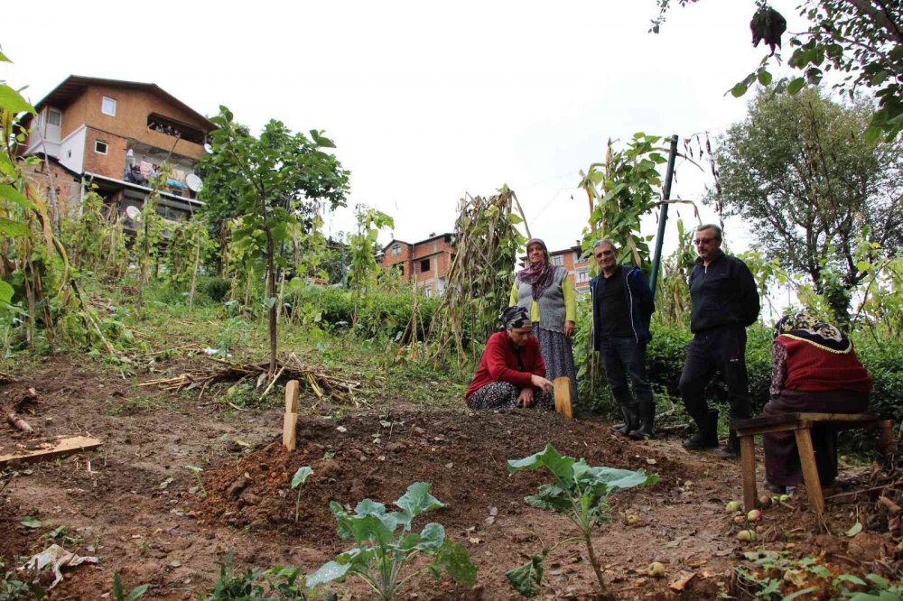 TRABZON / OF  UĞURLU MAHALLESİ'NDE 90 YAŞLARINDAKİ ÜÇ ERKEK KARDEŞ 23 GÜN İÇERİSİNDE VEFAT  ETTİ