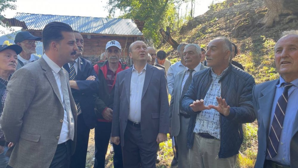 ARTVİN’DE BULUNAN DÜNYANIN EN YAŞLI ARMUT AĞACINDA MEYVE HASADI YAPILDI