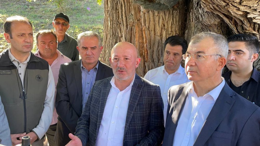 ARTVİN’DE BULUNAN DÜNYANIN EN YAŞLI ARMUT AĞACINDA MEYVE HASADI YAPILDI
