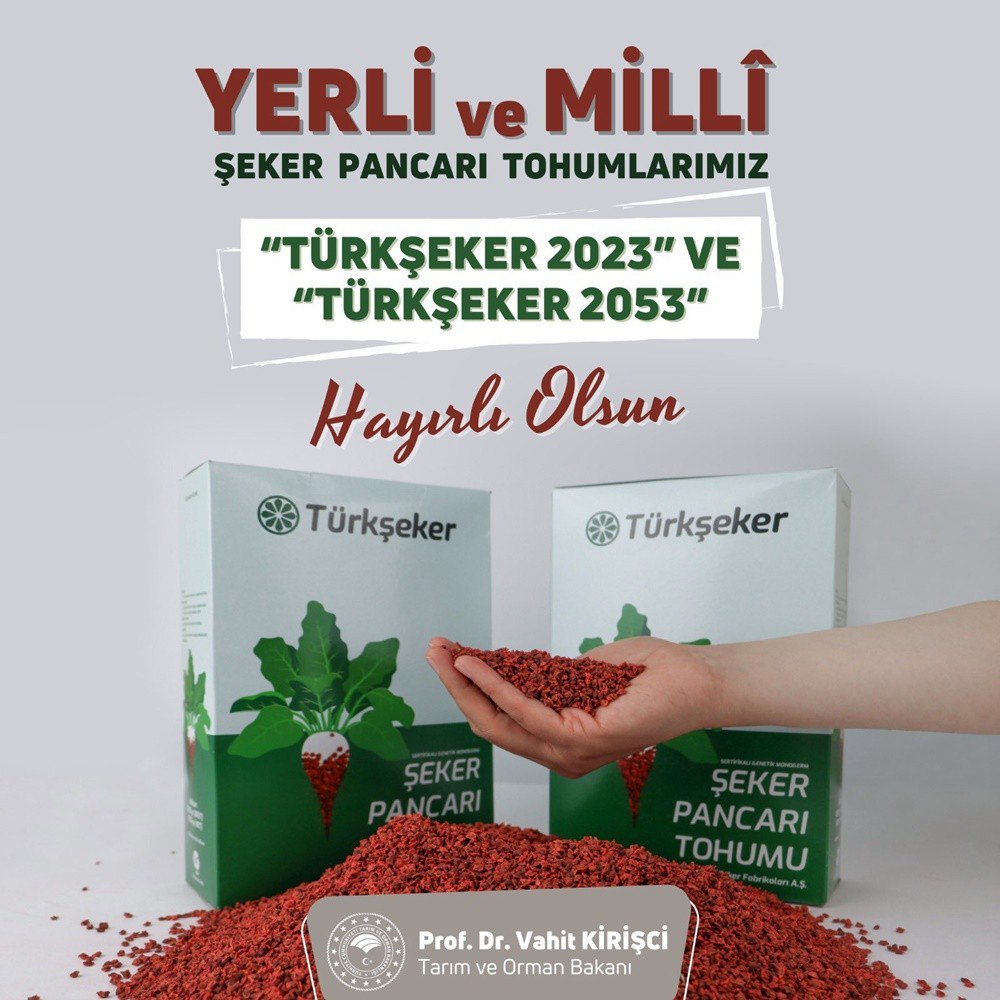 TÜRKİYE’DE BİR İLK: HASTALIKLARA DAYANIKLI MİLLİ VE YERLİ ŞEKER PANCARI GELİŞTİRİLDİ