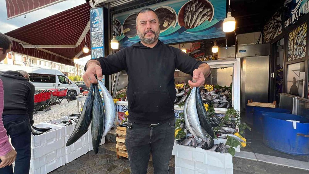 KARADENİZ’DE PALAMUT BOLLAŞTI, HAMSİ YOK OLDU