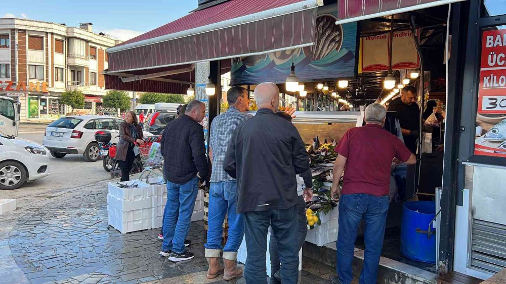 KARADENİZ’DE PALAMUT BOLLAŞTI, HAMSİ YOK OLDU