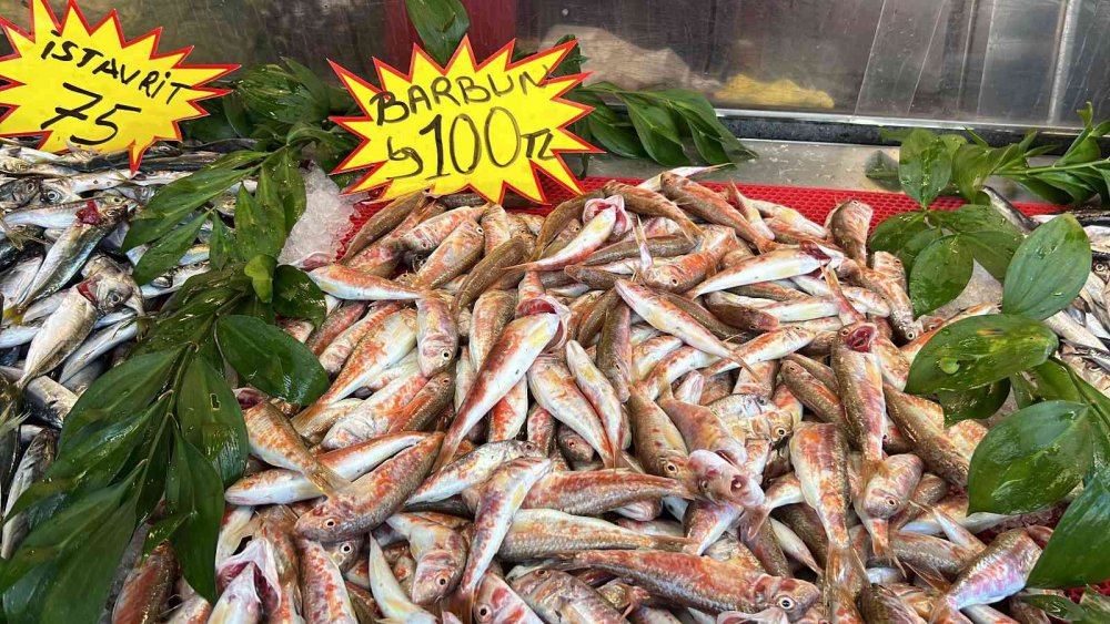 KARADENİZ’DE PALAMUT BOLLAŞTI, HAMSİ YOK OLDU
