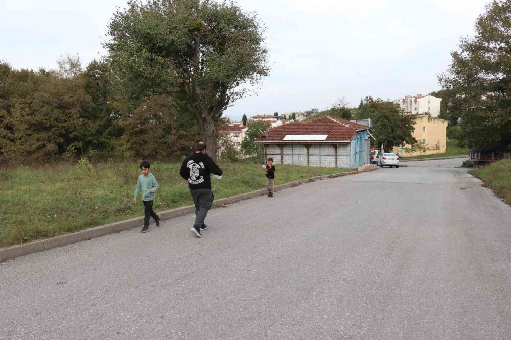 SAKARYA'NIN ADAPAZARI İLÇESİNDE BAKKALDAN EKMEK ALARAK EVİNE DÖNEN 7 YAŞINDAKİ KIZA SOKAK KÖPEKLERİ SALDIRDI